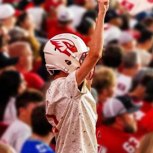 Arizona Cardinals
