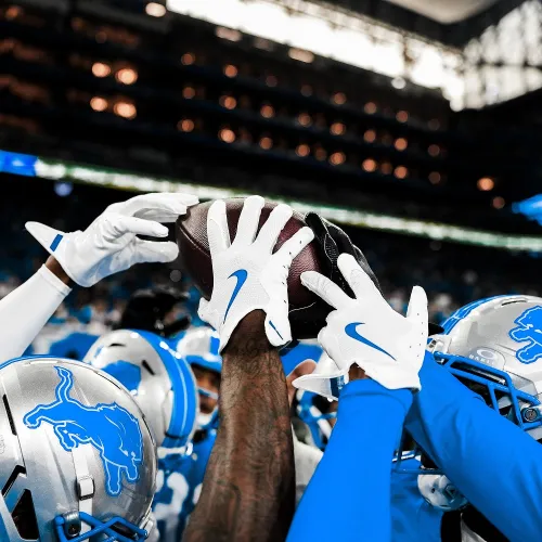Detroit Lions