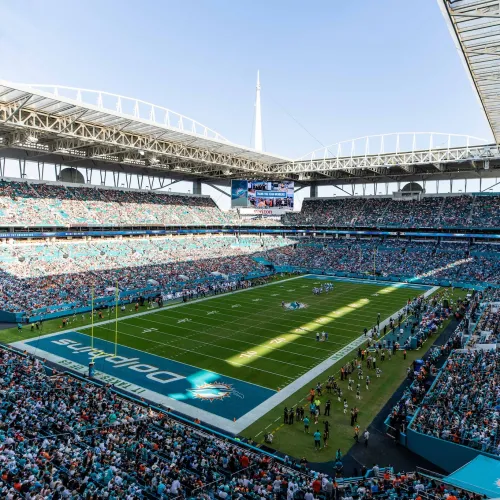 Miami Dolphins