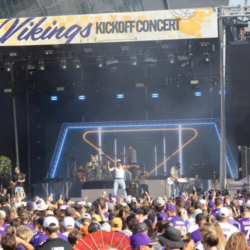 Minnesota Vikings